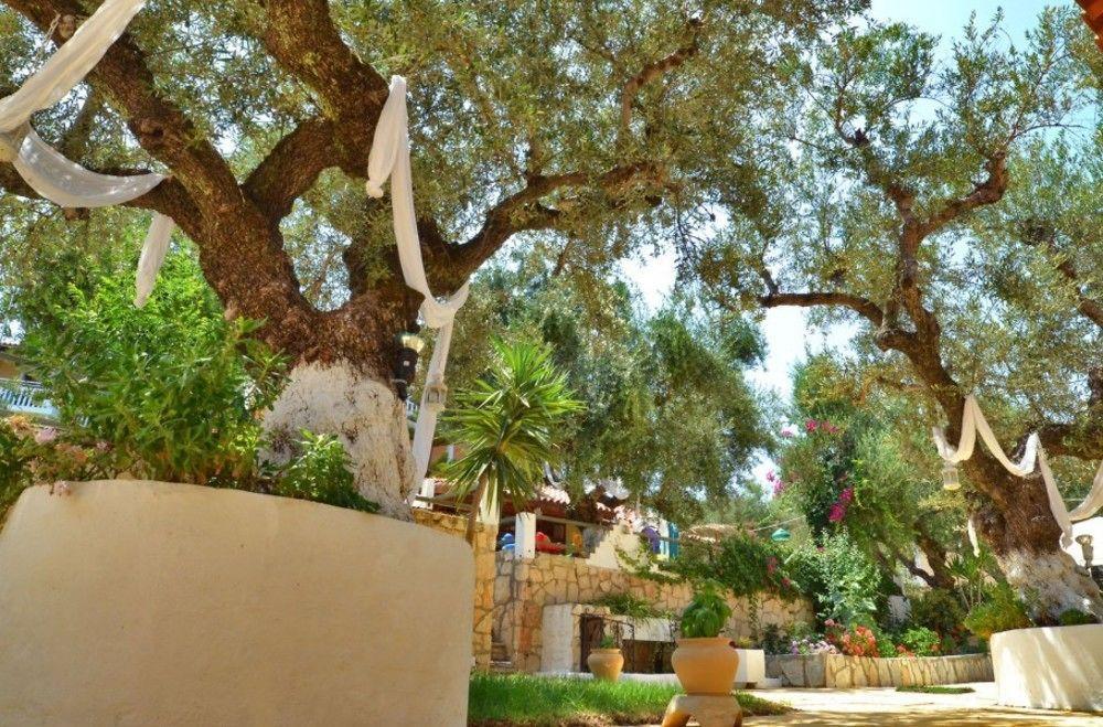 Sole E Mare Apartments Tsilivi  Dış mekan fotoğraf