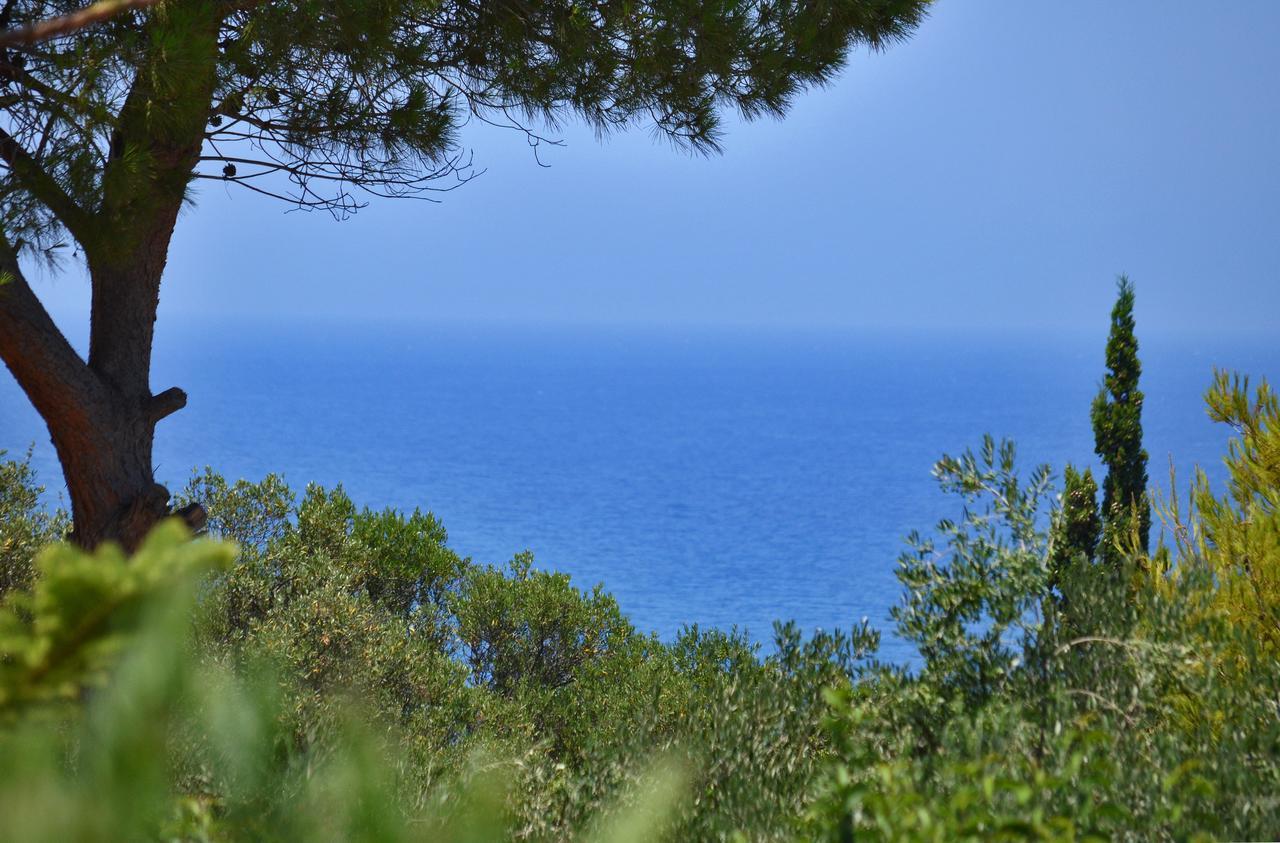 Sole E Mare Apartments Tsilivi  Dış mekan fotoğraf