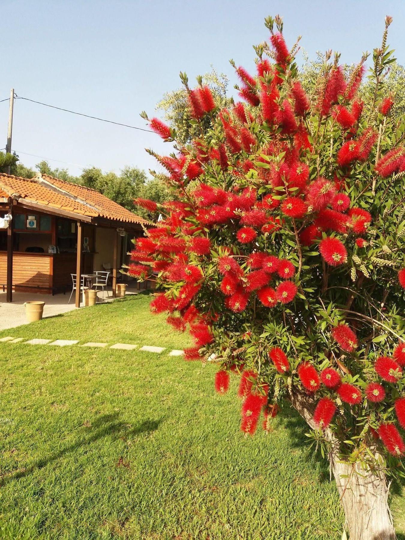 Sole E Mare Apartments Tsilivi  Dış mekan fotoğraf